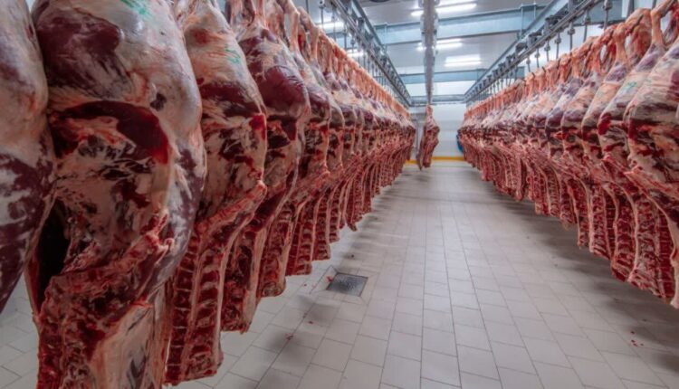  آغاز تولید ۵۰۰ تن گوشت منجمد برزیلی 